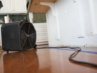 Professional mold remediation services in Midland